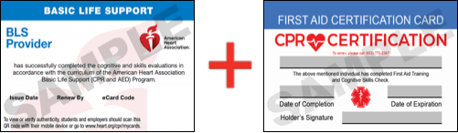 Sample American Heart Association AHA BLS CPR Card Certification and First Aid Certification Card from CPR Certification San Jose