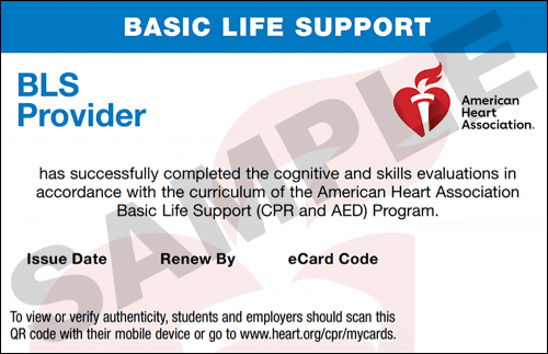 Sample American Heart Association AHA BLS CPR Card Certification from CPR Certification San Jose
